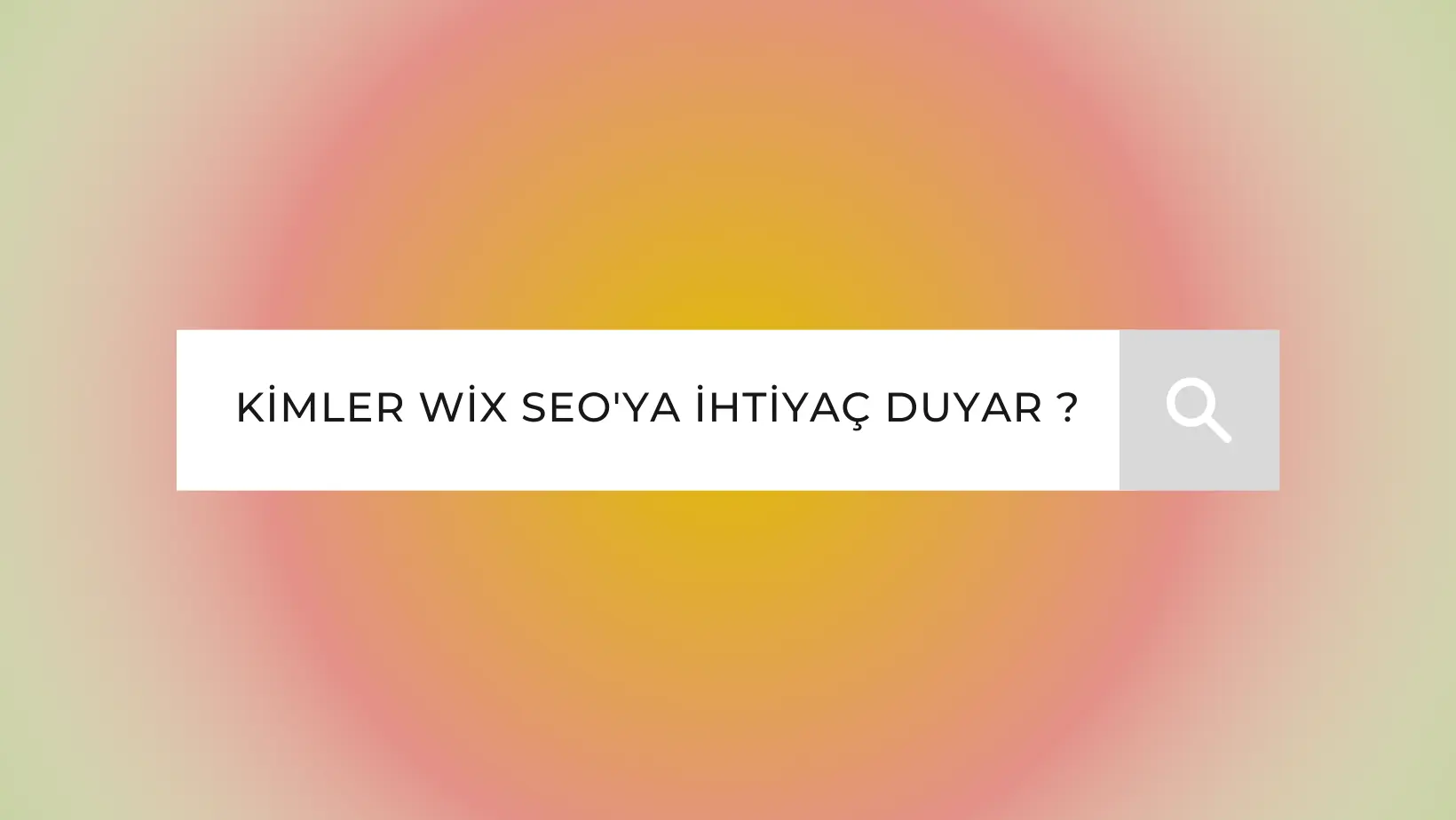 KİMLER WİX SEO'YA İHTİYAÇ DUYAR